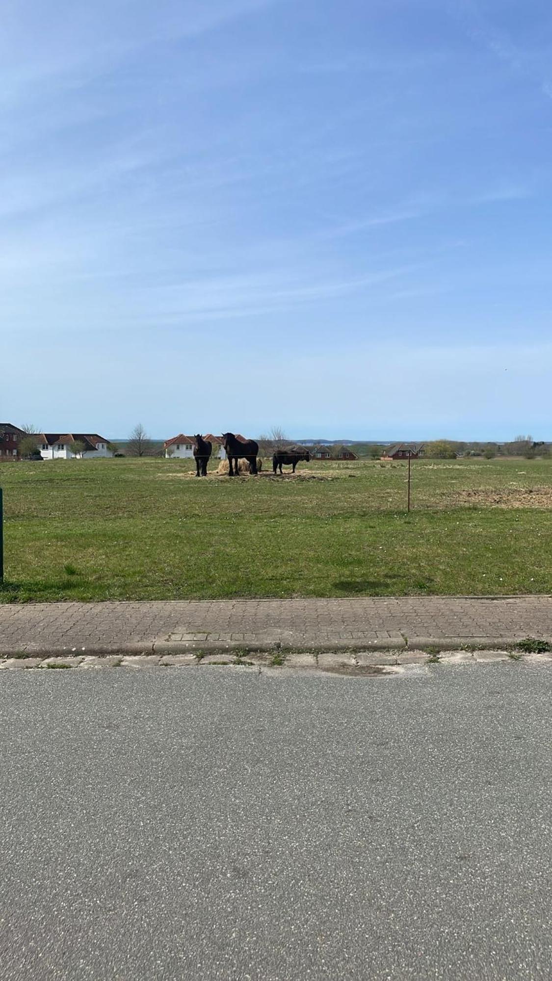 Anker6 Im Ferien-resort Ruegen
